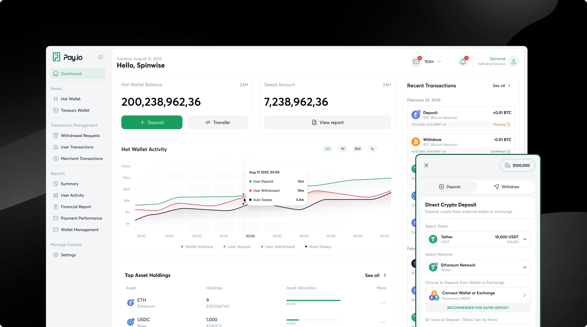 Pay.io wallet dashboard with deposit and transfer actions and a crypto deposit panel.